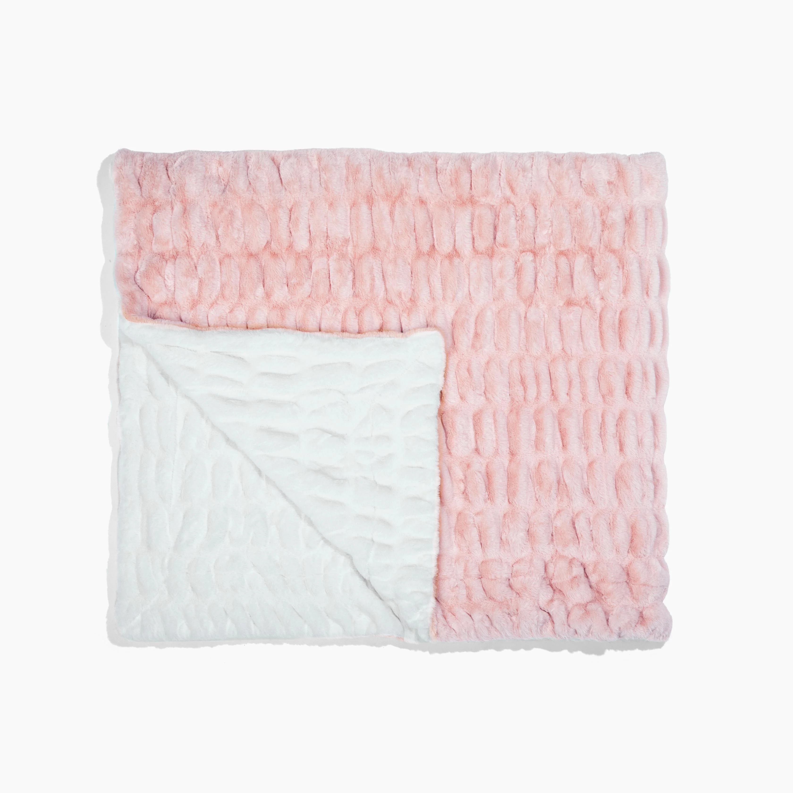 Sugar Petal Two-Tone